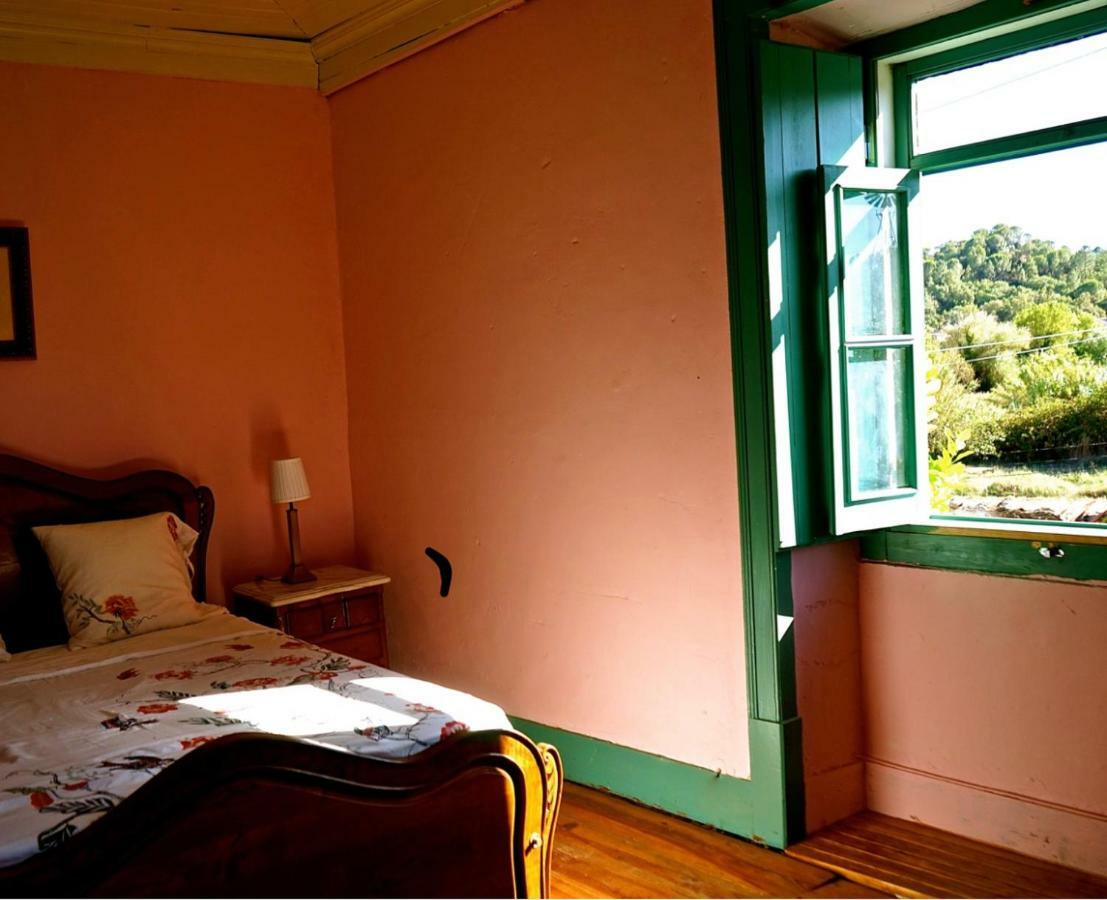 산타렘 Sao Miguel House , Casa Do Carvalhal 게스트하우스 외부 사진