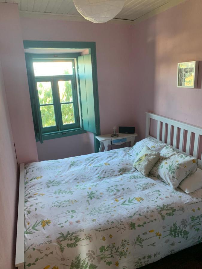 산타렘 Sao Miguel House , Casa Do Carvalhal 게스트하우스 외부 사진